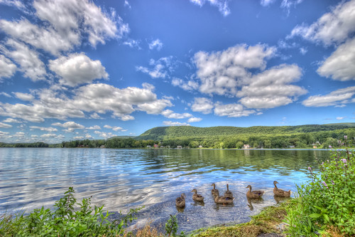 lake clouds duck unitedstates cheshire massachusetts ducks reservoir berkshires nik hdr ashuwillticook