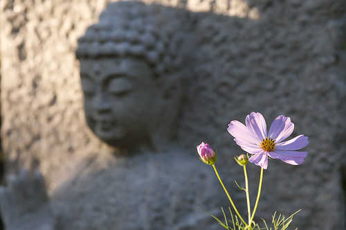 Buddha and flower
