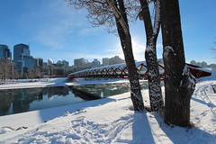 The peace bridge Calgary new years day 2014