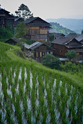 door wood travel woman house mountain hot tree nature wet water architecture female montagne landscape asian ancient asia day village adult outdoor path background balcony femme traditional hill scenic culture doorway environment porte asie 中国 tradition agriculture fullframe ricefield ethnic maison arbre ricepaddy chemin chine indigenous doorframe 50mmf14 lifestyles estetic ethnique ethnie 35mmprint culumn pleinformat rizière indigène