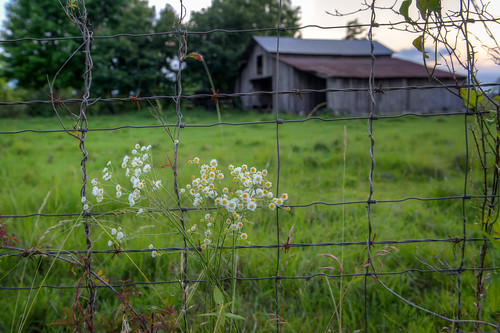 sunset barn rural fence mississippi wire barbed bigmomma copiahcounty herowinner ultraherowinner storybookwinner