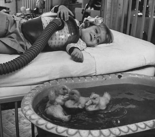 Animals being used as a part of medical therapy in 1956
