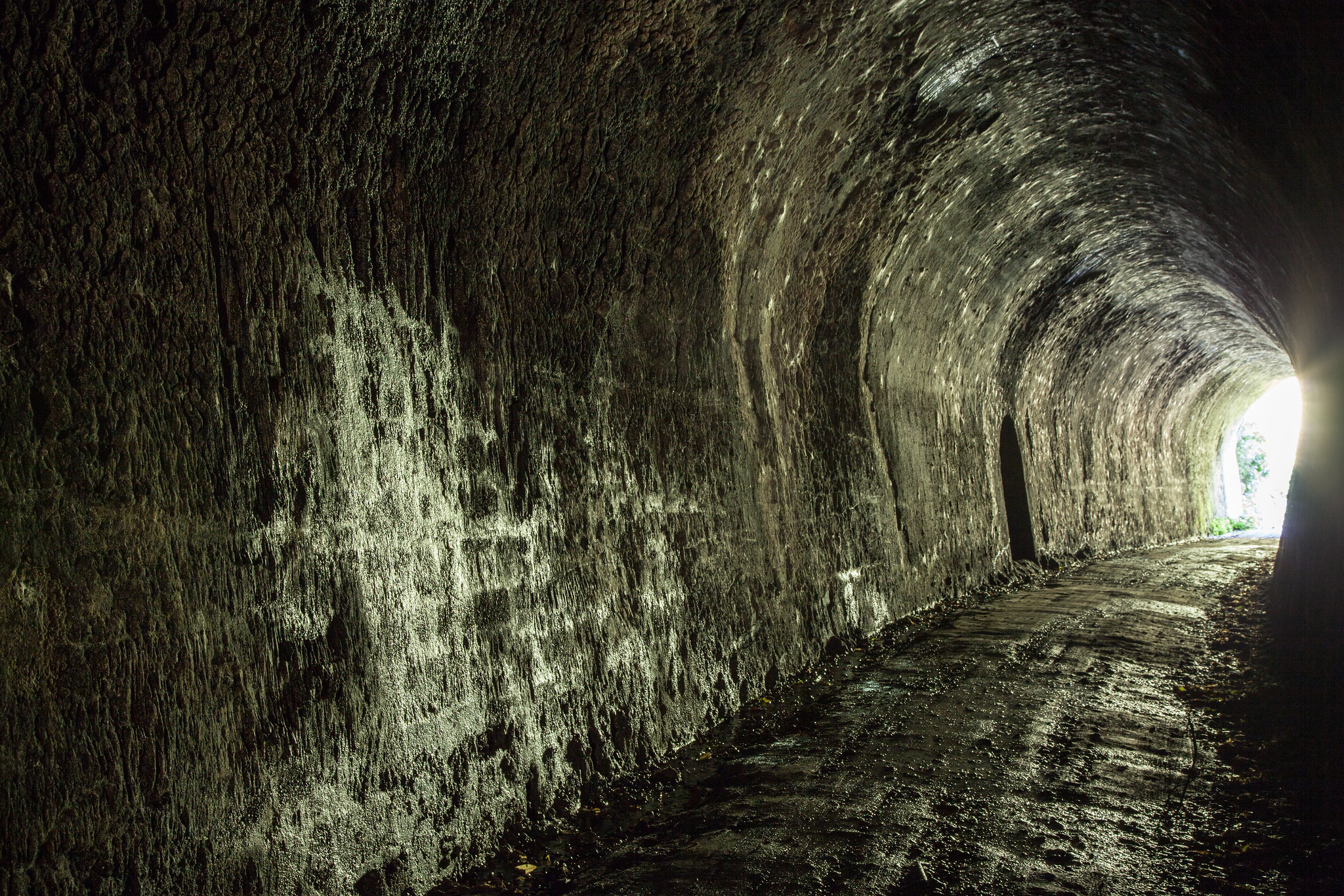 Rimutaka Rail Trail: Siberia Tunnel