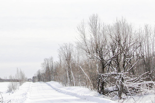 road trees winter snow cold ice wisconsin clouds rural forest landscape frozen woods backroad