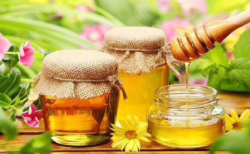Honey-in-Nature-1024x667