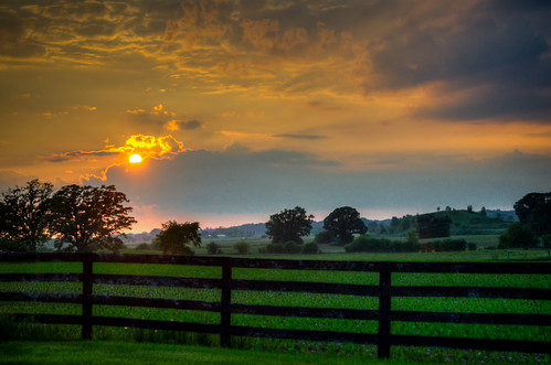 sunset fence landscape corn scenery farm il lakewood