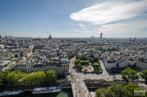 Paris Cityscape - From the top of Notre Dame