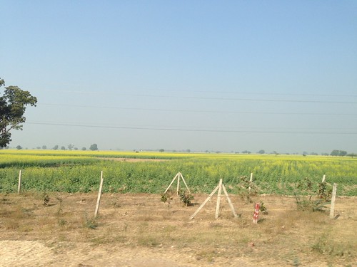 india rural countryside highway farm rapeseed 印度 uploaded:by=flickrmobile flickriosapp:filter=nofilter