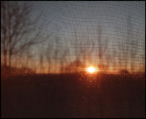 trees winter silhouette sunrise reading netcurtains