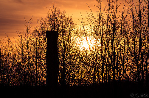 sunset tree tower silhouette architecture backlight germany deutschland tramonto sonnenuntergang pentax hamburg sigma architektur backlit turm baum gebäude germania zeit gegenlicht amburgo k30 rothenburgsort sigma18250dcmacro sigma18250mmf3563dcmacro