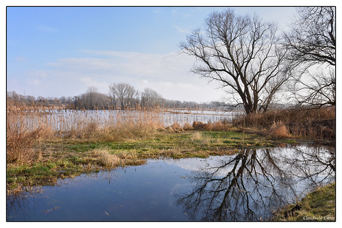 landschap nature meersen water reflection landscape
