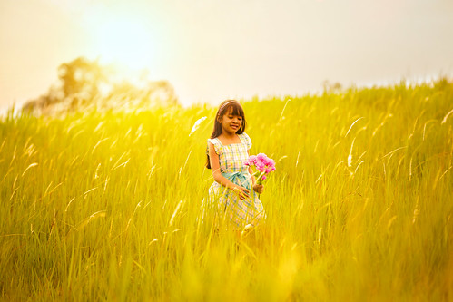 sunset red summer portrait sky people woman sun green nature girl beautiful beauty field grass silhouette female hair children asian thailand outside outdoors happy person one freedom kid spring model colorful pretty day child play little outdoor joy daughter young meadow posing lifestyle happiness running scene fresh human thai playful musi nakhonratchasima