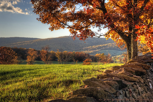 autumn usa mountain tree landscape virginia nikon fallcolor fallcolors stonewall pastoral loudouncounty d700 tomlussier