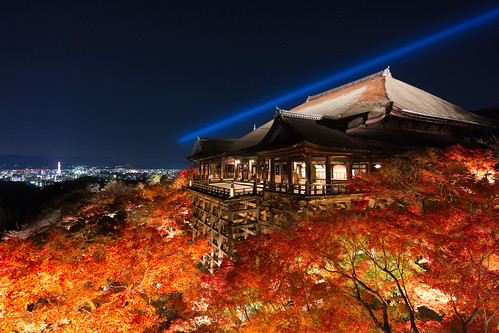 autumn light leaves night temple maple kyoto 京都 紅葉 清水寺 kiyomizudera nex7 sel1018