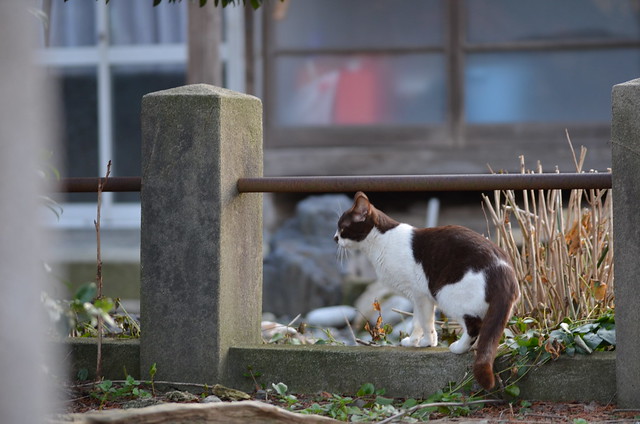 新潟県村上散歩 2014年3月28日