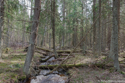 park nature finland spring national fi riverpath tammela torronsuo d7100 tavastiaproper