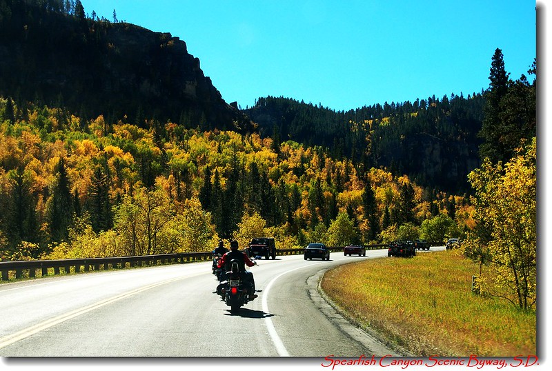 Spearfish Canyon Scenic Byway 10
