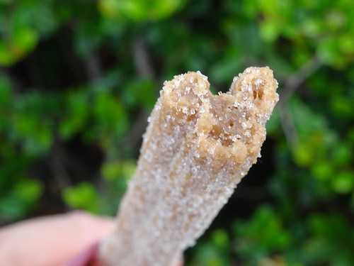Yes, that's a shore enough Mickey Churro