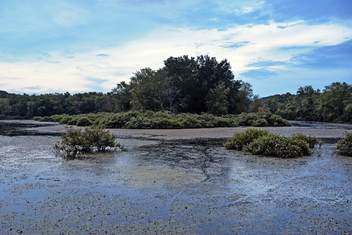county ohio summer swamp wetlands hocking kessler 2015