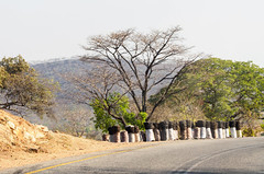 Seen through the window of the car:  Lusaka to Chipata