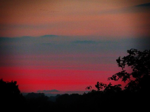 trees sunset red sky orange silhouette clouds lofi hills