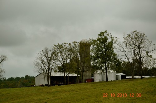 tractor cows barns silo traveling