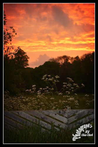 sunset garden geotagged scenery scenic handheld hampshireuk ononesoftware nikon35mmf18lens overwallop nikond7100