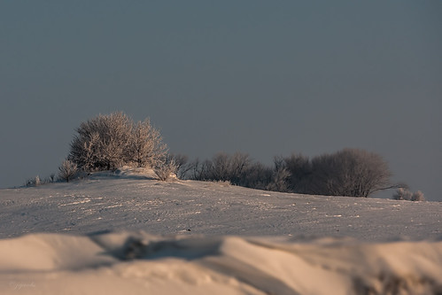 winter snow tree wisconsin arlington sunrise unitedstates hoarfrost scenic ©jrj