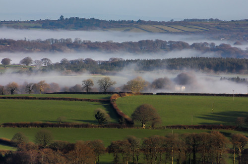 morning trees mist fog landscape day compression devon valley layers tor dartmoor brentor coryton