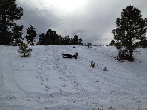 family arizona snow heber sledding photostream 2012 2014 cayden