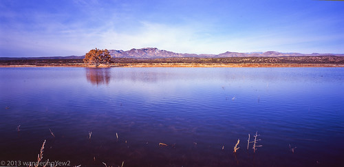 newmexico reflection 120 film wil mediumformat geotagged panoramic bosque bosquedelapache filmscan nationalwildliferefuge 21panoramic 6x12 bosquedelapachenationalwildliferefuge geo:lat=33868938 horseman6x12panoramiccamera geo:lon=106874383