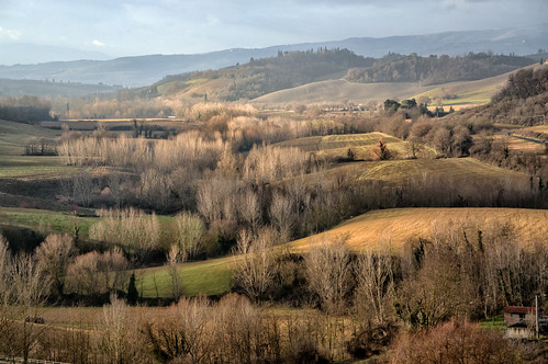 trees italy hills tuscany toscana truffle cretesenesi sangiovannidasso