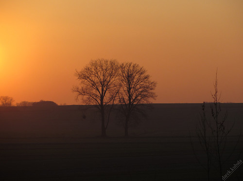 sunset pole zachódsłońca drzewa krajobraz