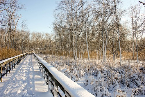 snow nature frozen boardwalk winterlandscape hammondindiana landscapephotography carlsonoxbowpark