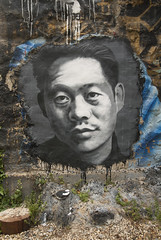 Zao Wou Ki, painted portrait _DDC2347 - Photo of Rillieux-la-Pape