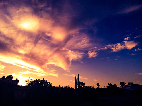 blue sunset arizona cactus sky cloud silhouette clouds skies suncitywest