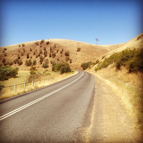 road summer nature field square landscape island country australia squareformat tasmania hobart hefe paddock 2014 janurary iphoneography instagramapp uploaded:by=instagram