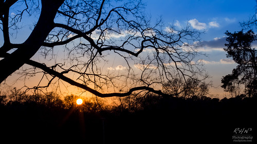 sunset unitedstates january southcarolina 365 edgefield 2014 27jan14