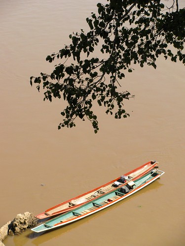 El árbol y las barcas en el Mekong