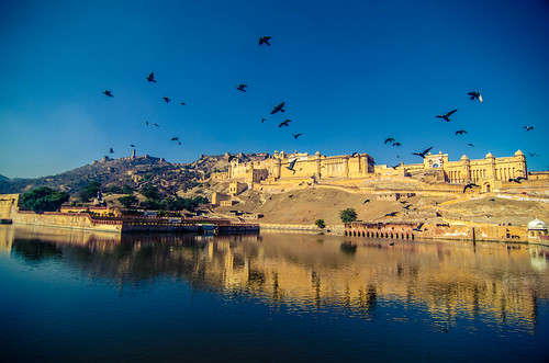 india reflection water beauty birds yahoo day fort pigeons sunny palace unesco worldheritagesite clear jaipur doves rajasthan amer pinkcity amberpalace incredibleindia