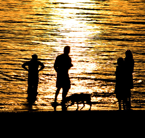 autumn sunset sea people dog beach water silhouette golden evening bay coast nikon australia melbourne victoria shore vic goldenhour shimmer portphillipbay edithvale d5100 nikond5100 phunnyfotos