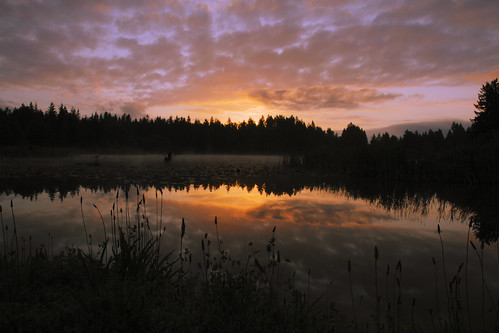 mist lake fog digital sunrise canon landscape eos washington pond lily monroe wagner refection pinerush ef24105mmf4lisusm 5dmarkii
