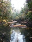 Lot 56 Sportsman Creek Conservation Area, Dilkoon NSW