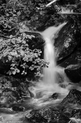 summer blackandwhite bw nature norway forest norge waterfall day sommer skog foss vestlandet sognefjord sognogfjordane høyanger bjordal