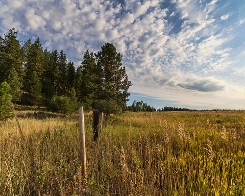 trees nature grass clouds fence landscape outdoors washington day unitedstates lakes wideangle resort logcabin twinlakes rainbowbeach northtwin southtwin inchelium colvillereservation pwpartlycloudy