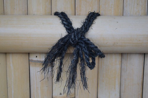 crossed knot