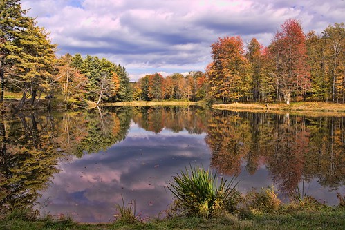 statepark autumn lake fall reflections day cloudy science cattarauguscounty enchantedmountain allegenystpk