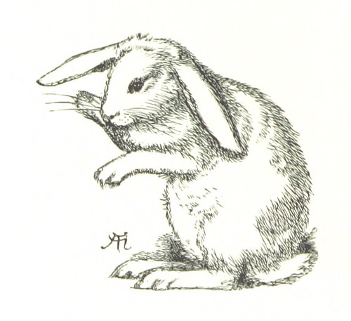 Image taken from page 110 of '[Sing-Song. A nursery rhyme book. ... With ... illustrations by A. Hughes, etc.]'