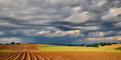 summer sky storm weather clouds rural potatoes nikon skies farm australia stormy victoria vic crops gippsland thorpdale d5100 nikond5100 phunnyfotos gippypics