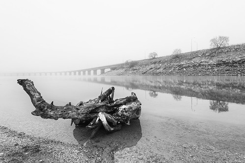 bridge bw lake reflection tree nature fog reflections landscape stump τοπίο λίμνη γέφυρα ομίχλη δέντρο polifitos velvento αντανάκλαση βελβεντό κορμόσ σέρβια πολυφύτου βελβεντόσ